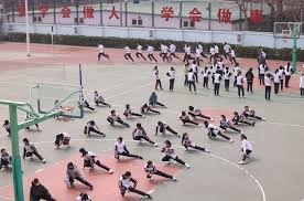 2025四川省马术联赛总决赛暨西南马术公开赛收官