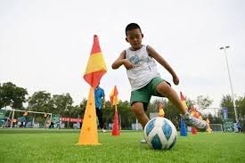 孙颖莎战胜米特兰姆，王楚钦不敌弗朗西斯卡，被对方反手限制