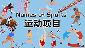 NFL精华｜海豚vs爱国者 爱国者冲击美联头名 大比分击败海豚