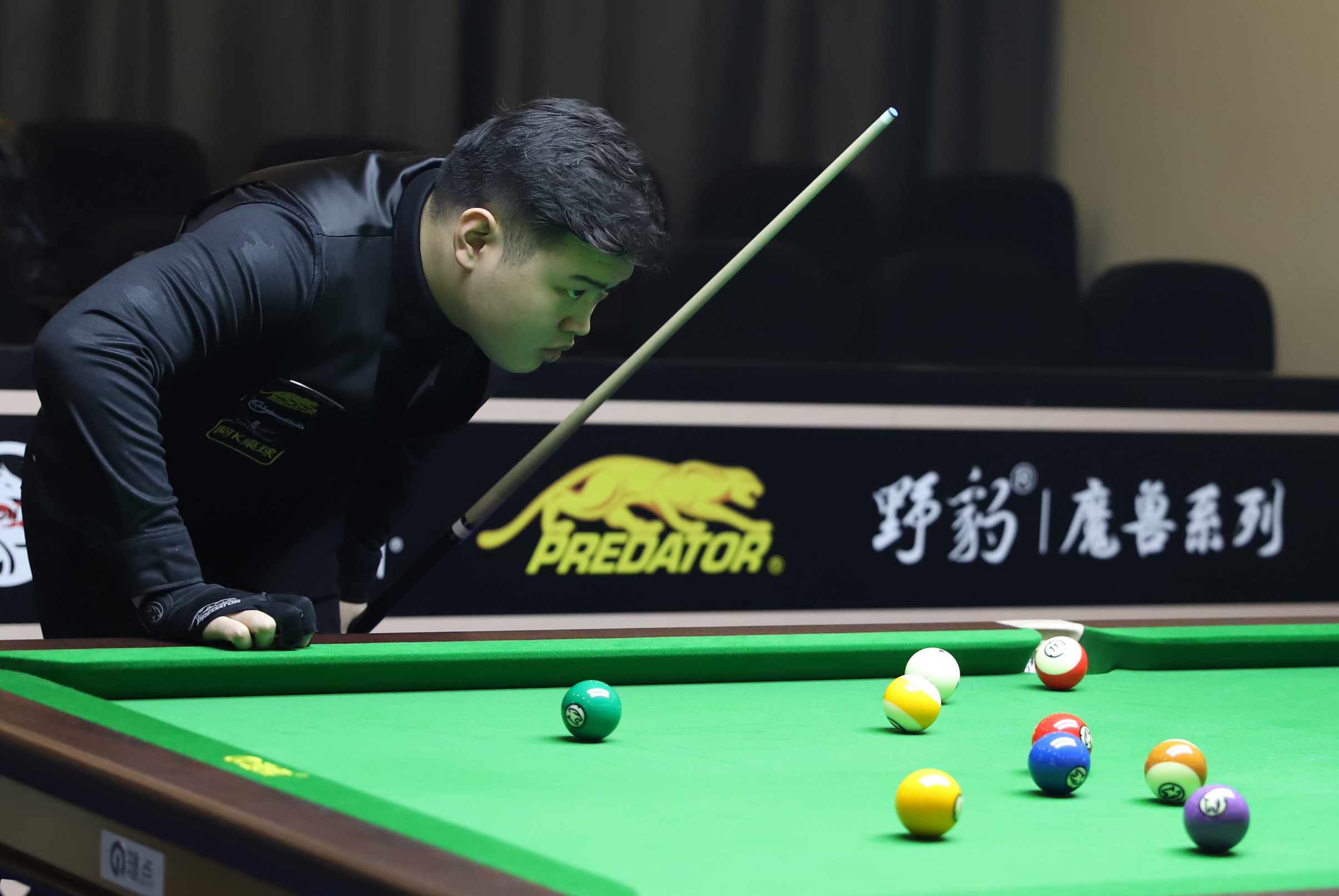 尽管拥有众 尽管拥有众